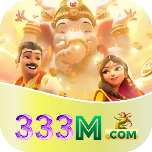 333m LOGO